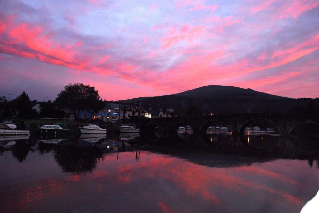 Waterside Guesthouse Graiguenamanagh Exteriér fotografie